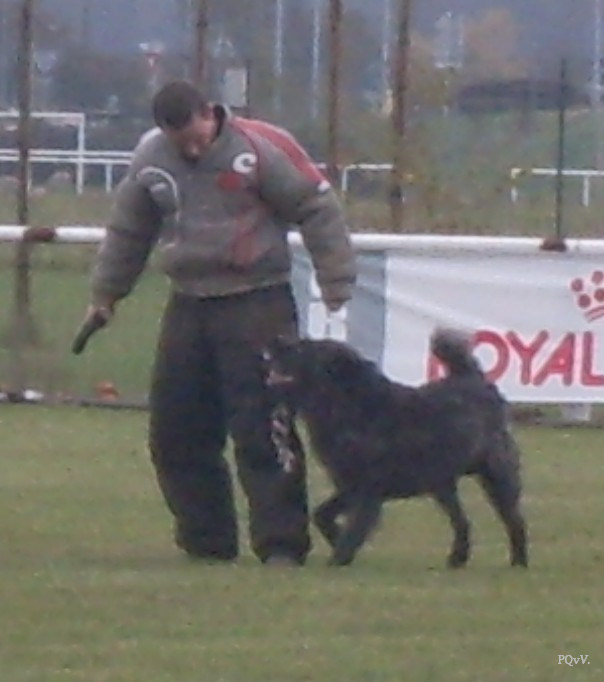  Email du Pré aux Vanneaux